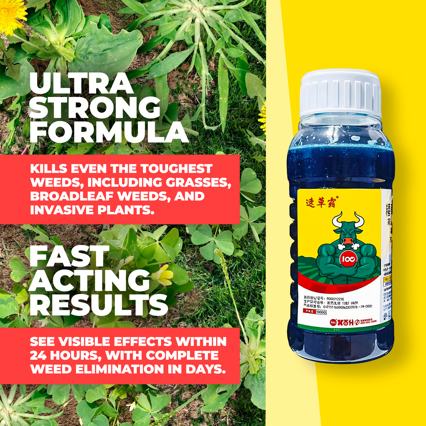 Glyphosate Herbicide with High-Concentration, Weed Killer with Ammonium Salt