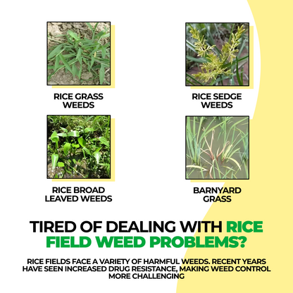 Glyphosate Herbicide with High-Concentration, Weed Killer with Ammonium Salt