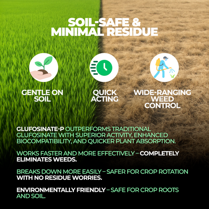 Glyphosate Herbicide with High-Concentration, Weed Killer with Ammonium Salt