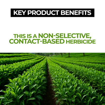 Glyphosate Herbicide with High-Concentration, Weed Killer with Ammonium Salt