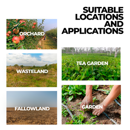 Glyphosate Herbicide with High-Concentration, Weed Killer with Ammonium Salt
