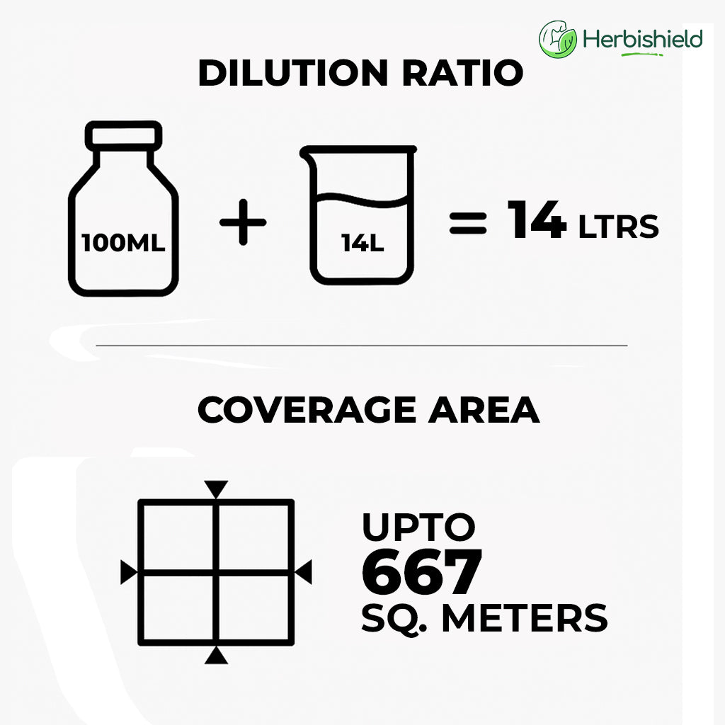 Glyphosate Herbicide with High-Concentration, Weed Killer with Ammonium Salt